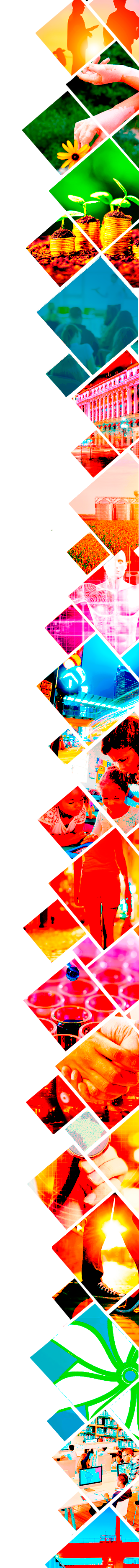 Sustentabilidade